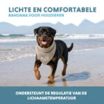 Chłodząca bandana dla psów, beżowa, L, 85 x 40 cm – Coolpets Cooling Bandana - obrazek 4