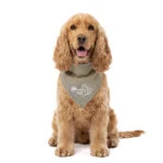 Bandana chłodząca dla psa, beżowa, M, 65 x 30 cm – Coolpets Cooling Bandana