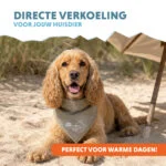 Bandana chłodząca dla psa, beżowa, M, 65 x 30 cm – Coolpets Cooling Bandana - obrazek 2