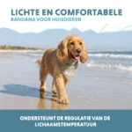 Bandana chłodząca dla psa, beżowa, M, 65 x 30 cm – Coolpets Cooling Bandana - obrazek 4