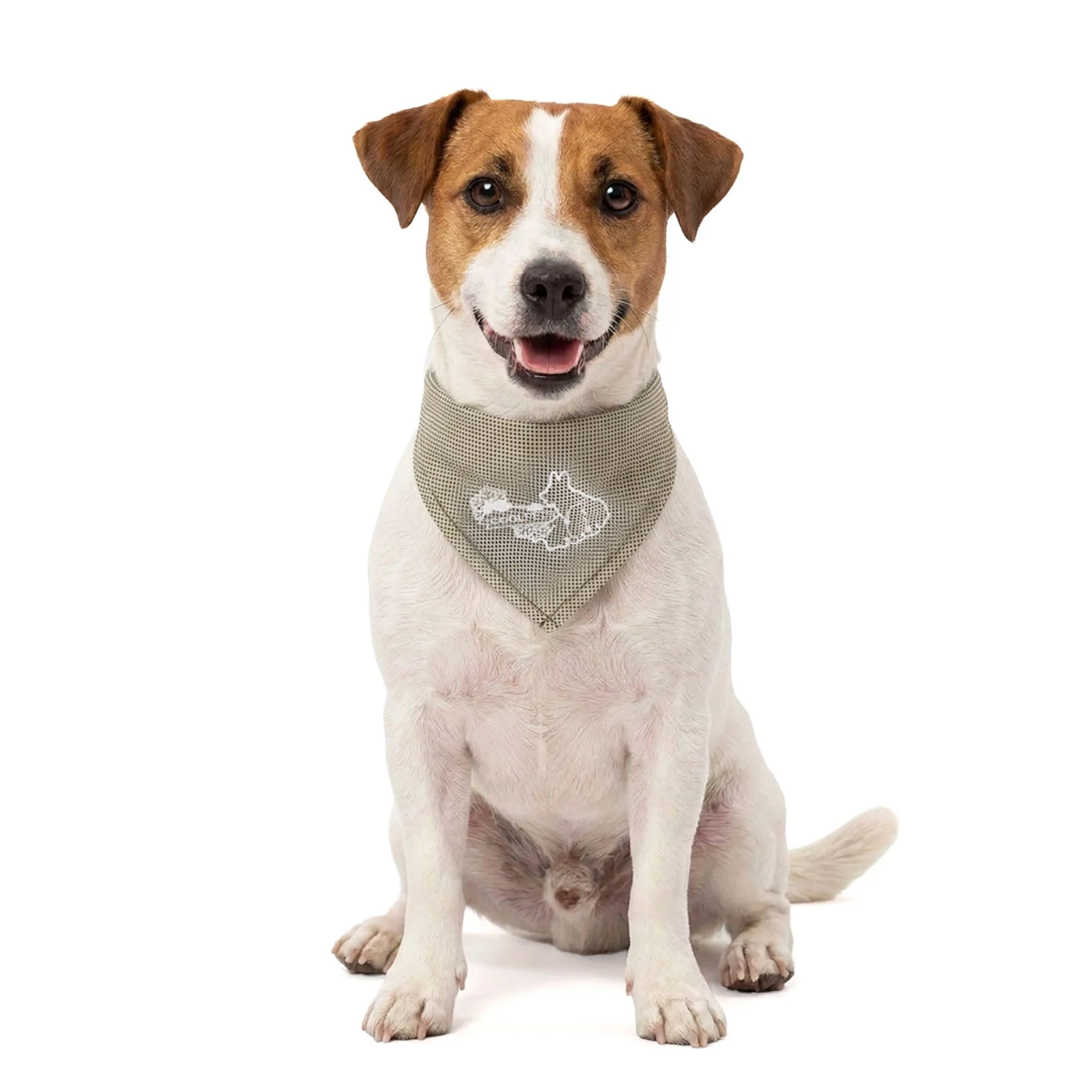 Bandana chłodząca dla psów, beżowa, S, 45 x 20 cm – Coolpets Cooling Bandana - obrazek 1