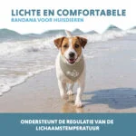 Bandana chłodząca dla psów, beżowa, S, 45 x 20 cm – Coolpets Cooling Bandana - obrazek 4