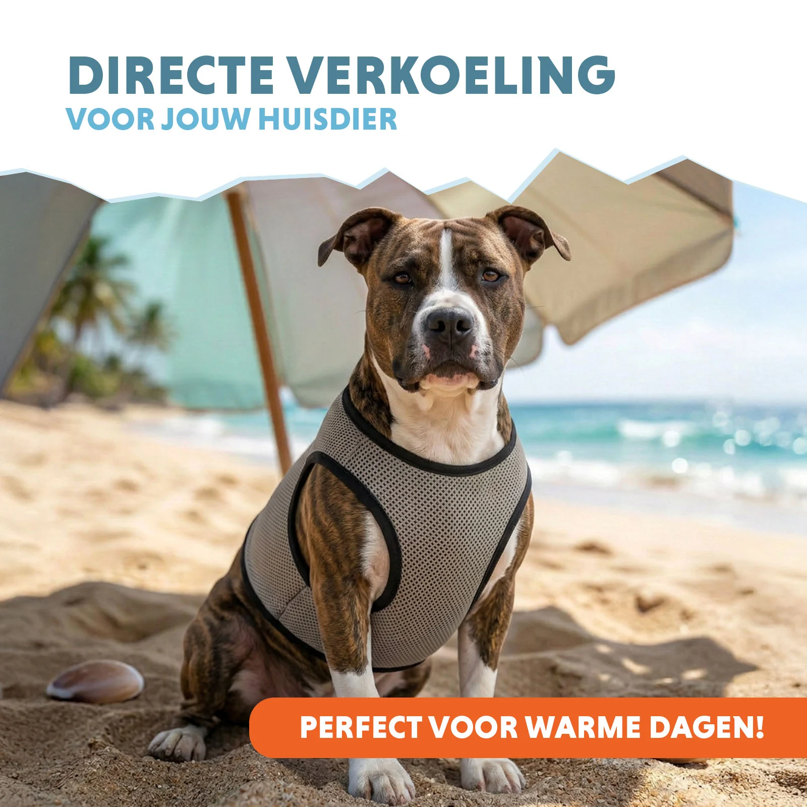 Kamizelka chłodząca dla psa, aktywowana wodą, L, długość grzbietu 35 cm – Coolpets Cooling Vest - obrazek 2