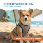 Kamizelka chłodząca dla psów, aktywowana wodą, M, długość grzbietu 30 cm – Coolpets Cooling Vest - obrazek 2