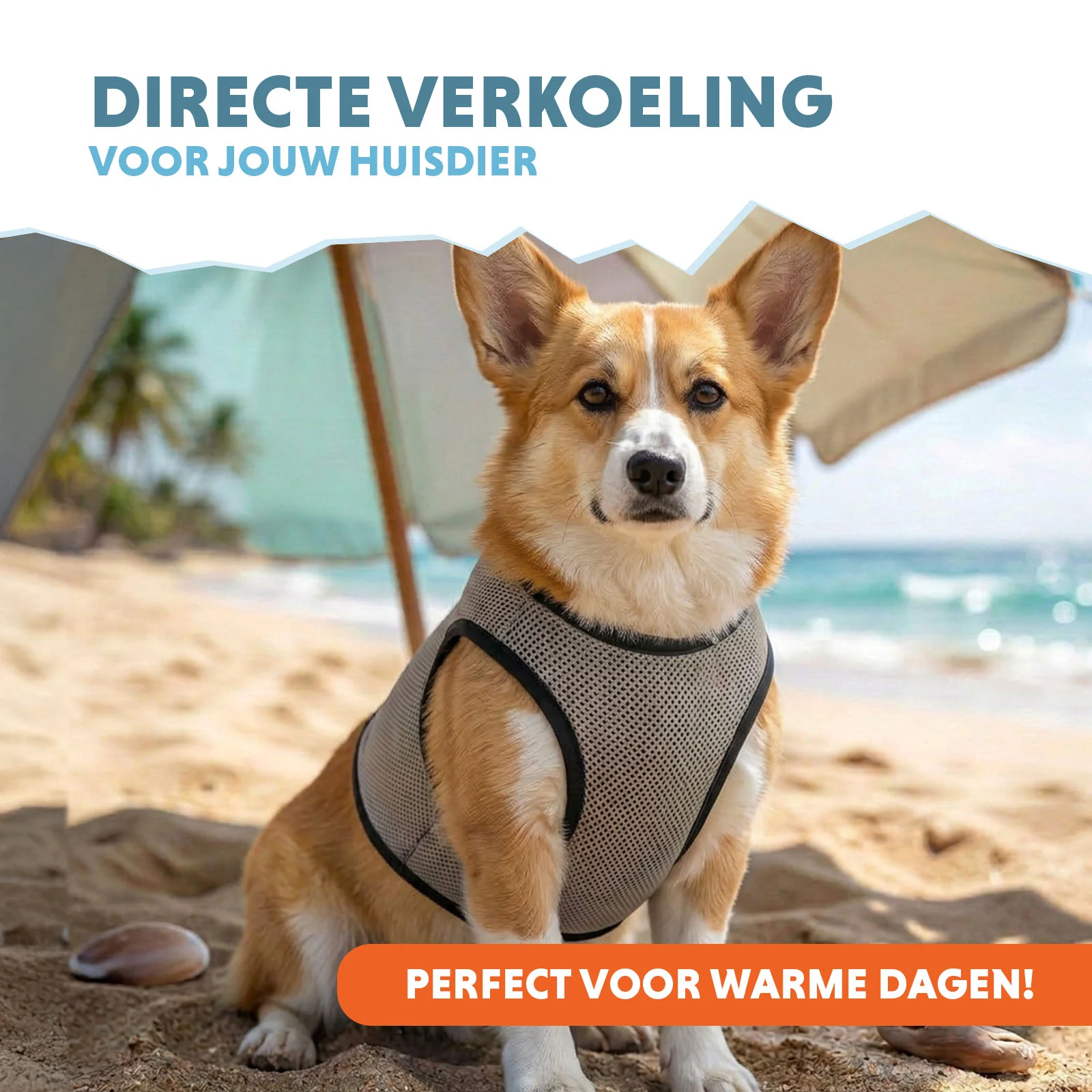 Kamizelka chłodząca dla psów, aktywowana wodą, M, długość grzbietu 30 cm – Coolpets Cooling Vest - obrazek 2