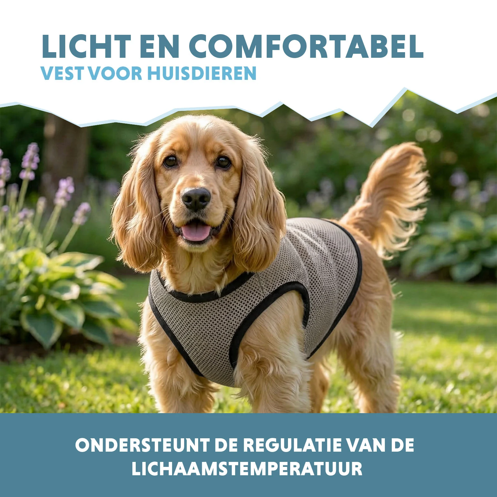 Kamizelka chłodząca dla psów, aktywowana wodą, M, długość grzbietu 30 cm – Coolpets Cooling Vest - obrazek 4