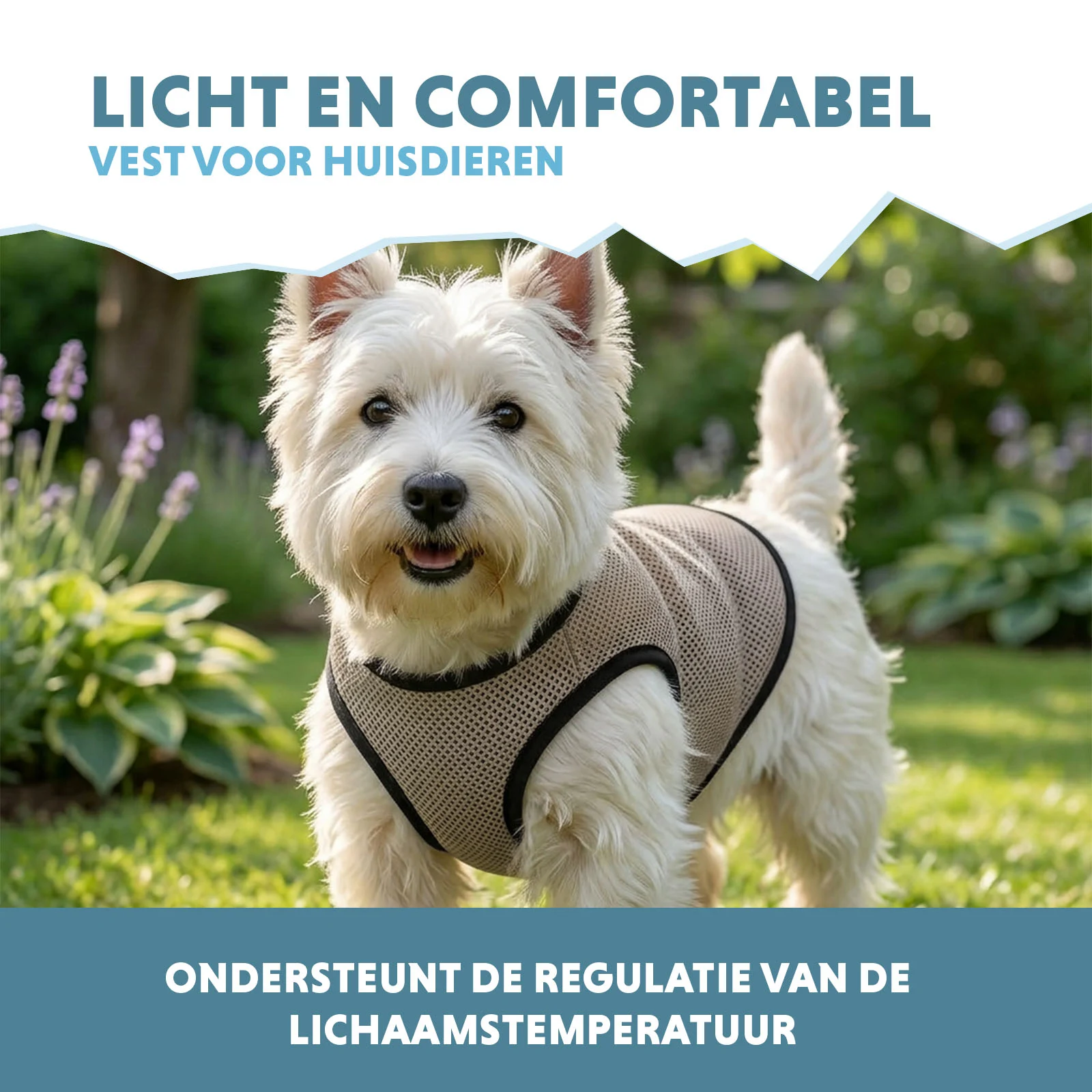 Kamizelka chłodząca dla psa, aktywowana wodą, S, długość grzbietu 25 cm – Coolpets Cooling Vest - obrazek 4