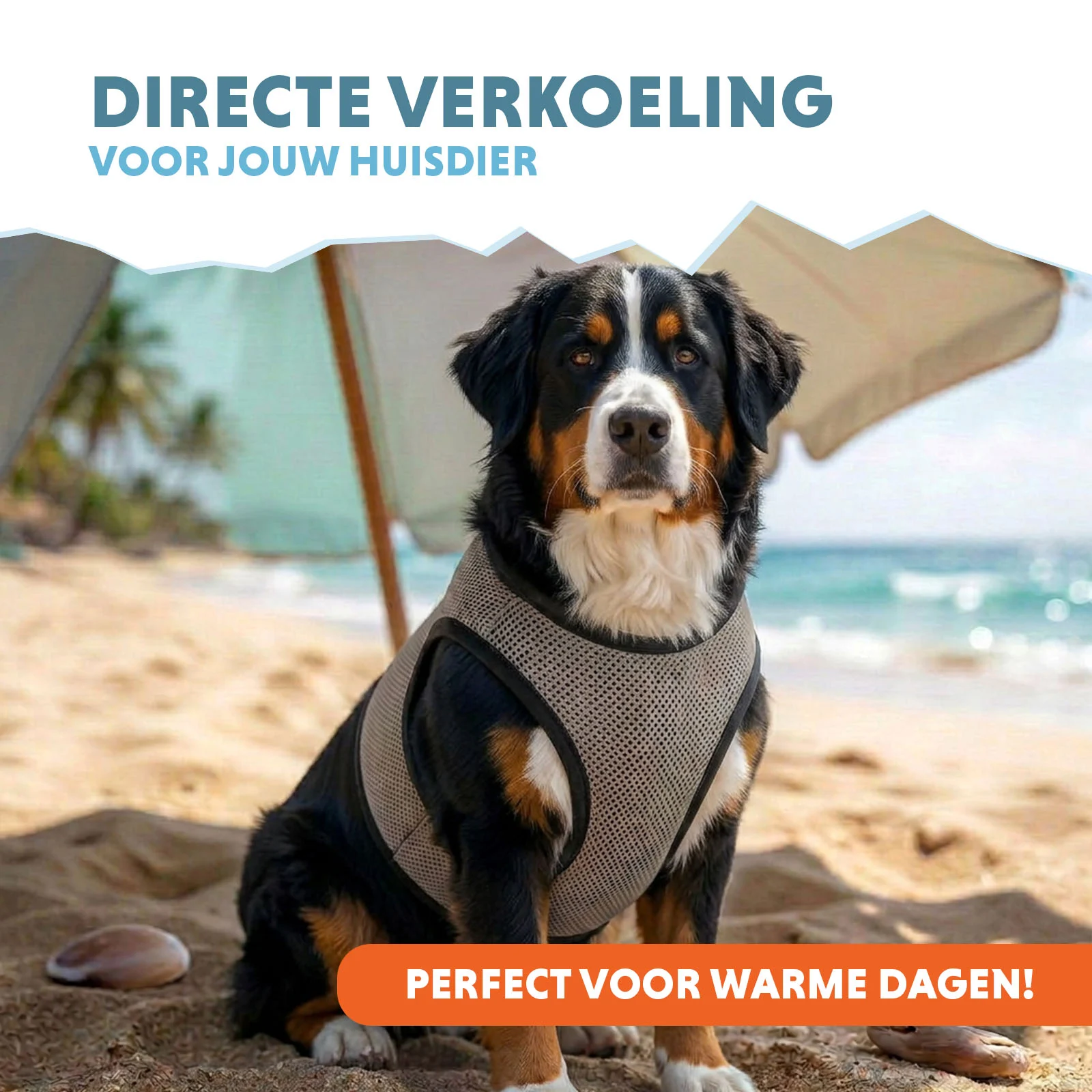 Kamizelka chłodząca dla psa, aktywowana wodą, XL, długość grzbietu 40 cm – Coolpets Cooling Vest - obrazek 2