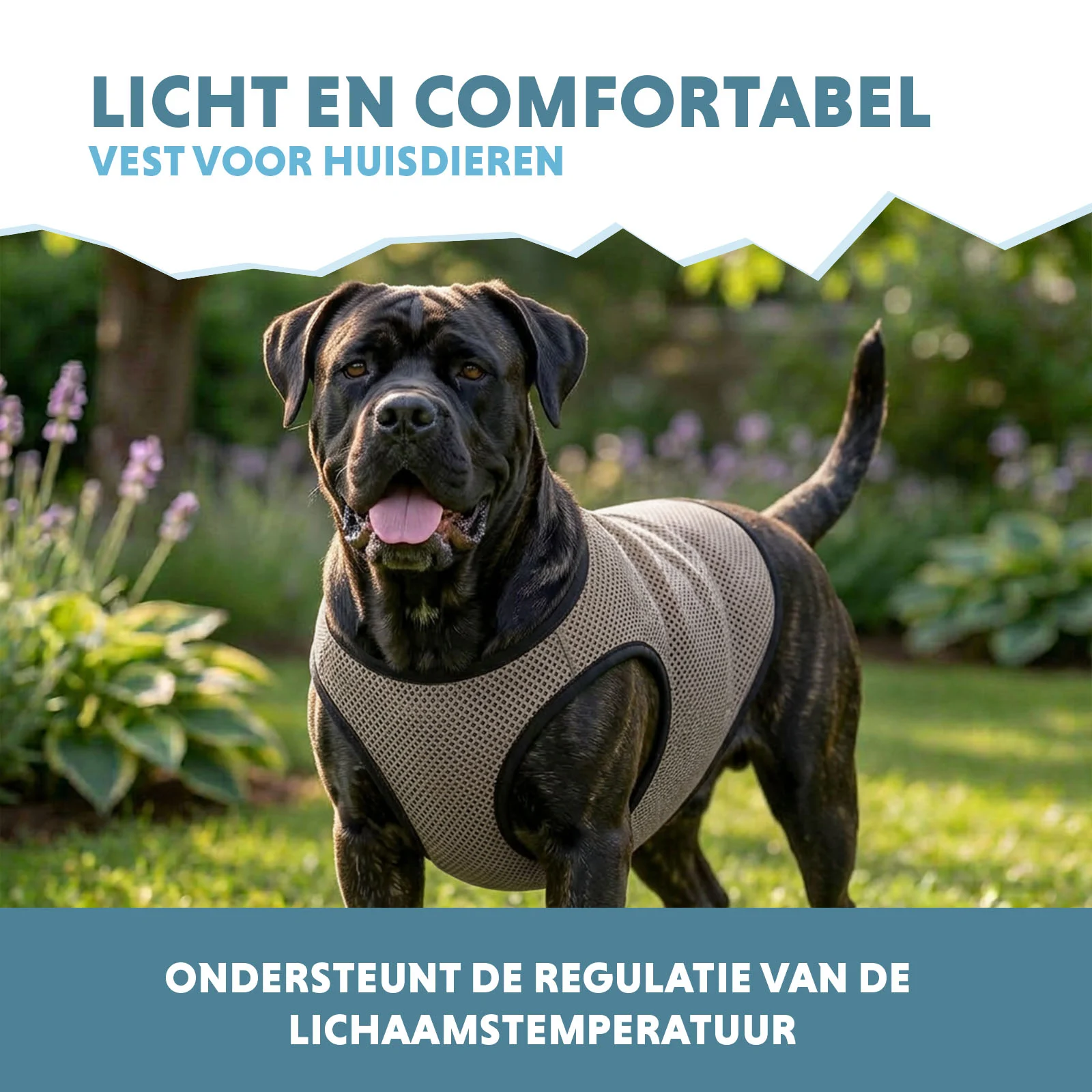 Kamizelka chłodząca dla psa, aktywowana wodą, XL, długość grzbietu 40 cm – Coolpets Cooling Vest - obrazek 4