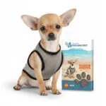 Kamizelka chłodząca dla psów, aktywowana wodą, XS, długość grzbietu 20 cm – Coolpets Cooling Vest