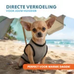 Kamizelka chłodząca dla psów, aktywowana wodą, XS, długość grzbietu 20 cm – Coolpets Cooling Vest - obrazek 2