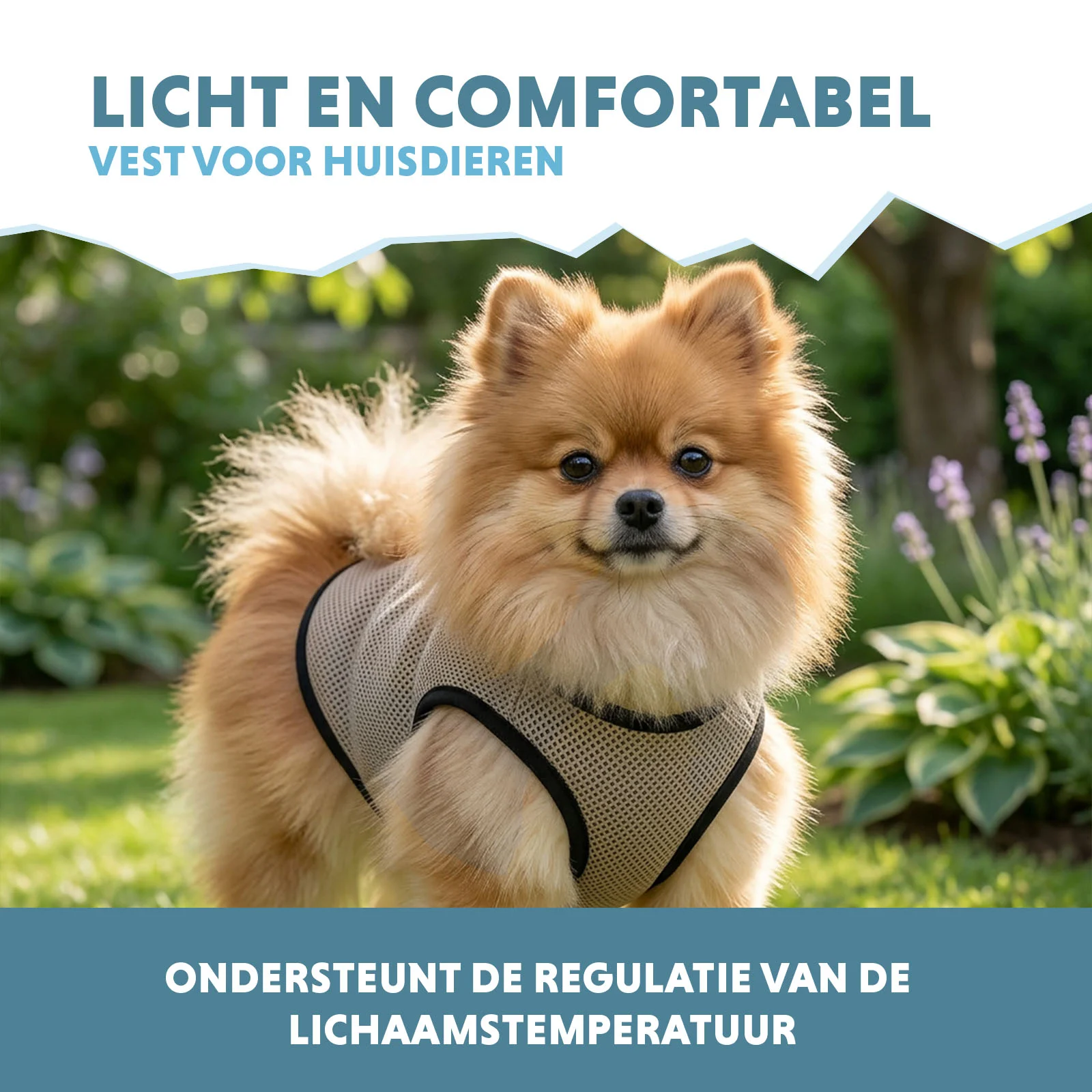 Kamizelka chłodząca dla psów, aktywowana wodą, XS, długość grzbietu 20 cm – Coolpets Cooling Vest - obrazek 4