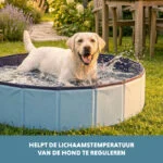 Basen dla psa z antypoślizgowym dnem, składany, ø 80 x 20 cm – Coolpets Splash Dog Pool - obrazek 6