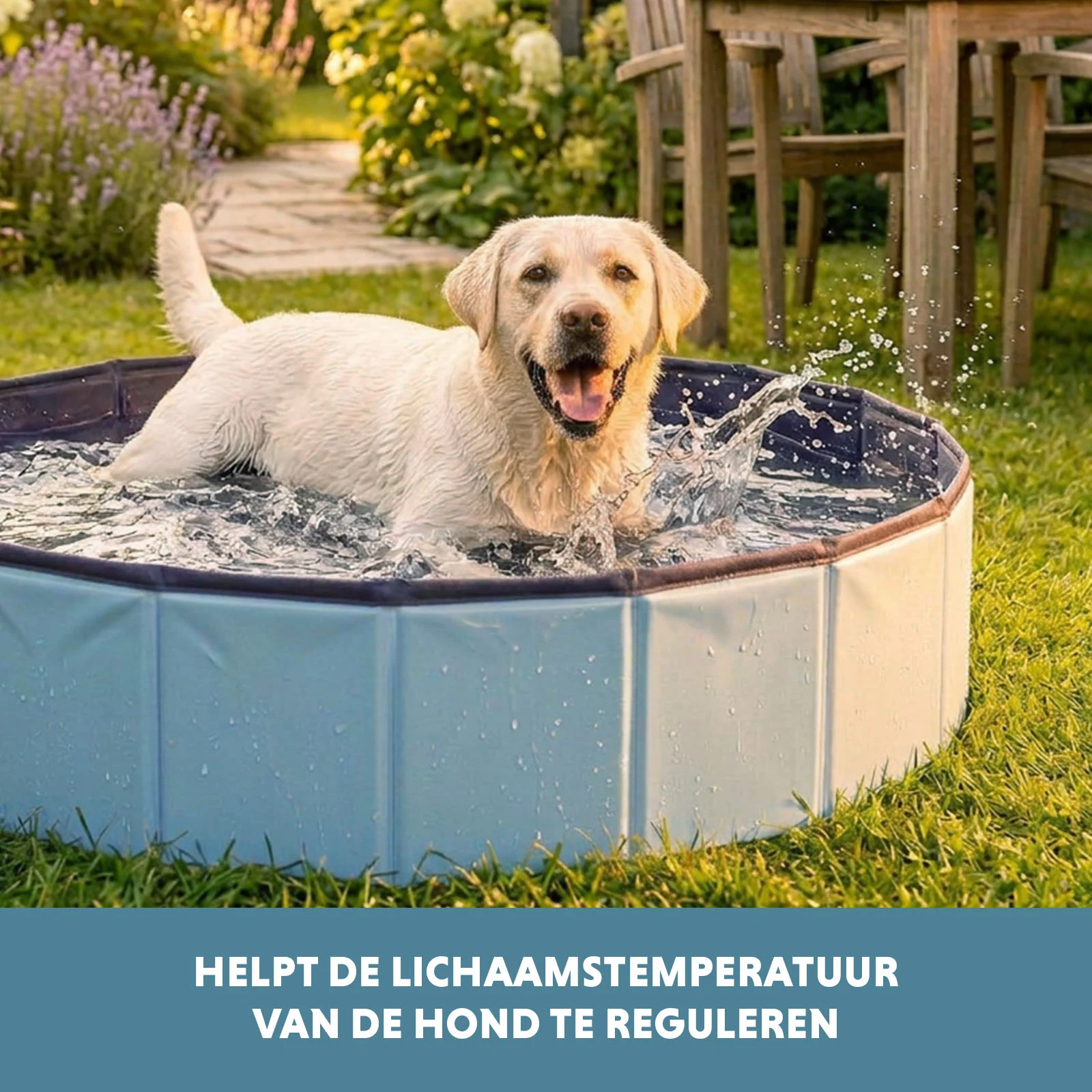 Basen dla psa z antypoślizgowym dnem, składany, ø 80 x 20 cm – Coolpets Splash Dog Pool - obrazek 6