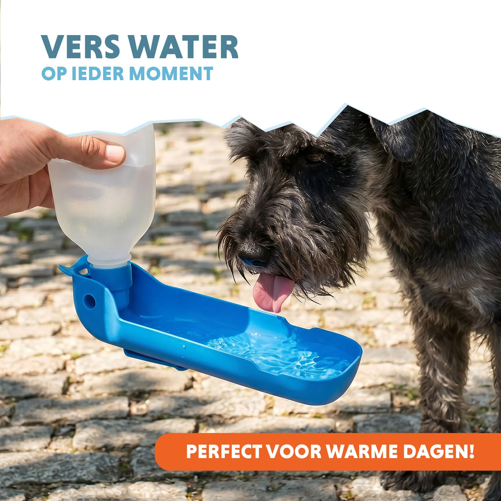 Butelka do picia dla psa na spacer i w podróż, 300 ml – Coolpets Fresh 2GO - obrazek 2