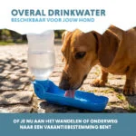 Butelka do picia dla psa na spacer i w podróż, 300 ml – Coolpets Fresh 2GO - obrazek 4