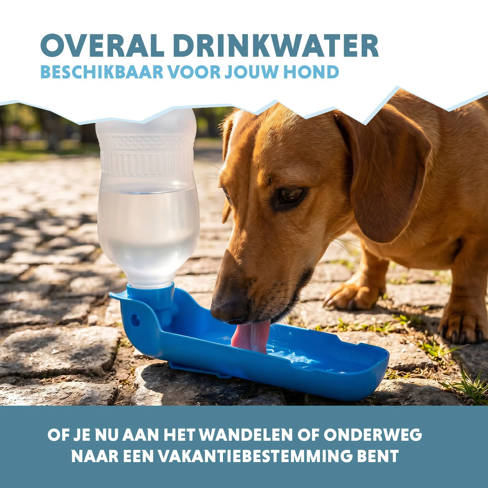 Butelka do picia dla psa na spacer i w podróż, 300 ml – Coolpets Fresh 2GO - obrazek 4