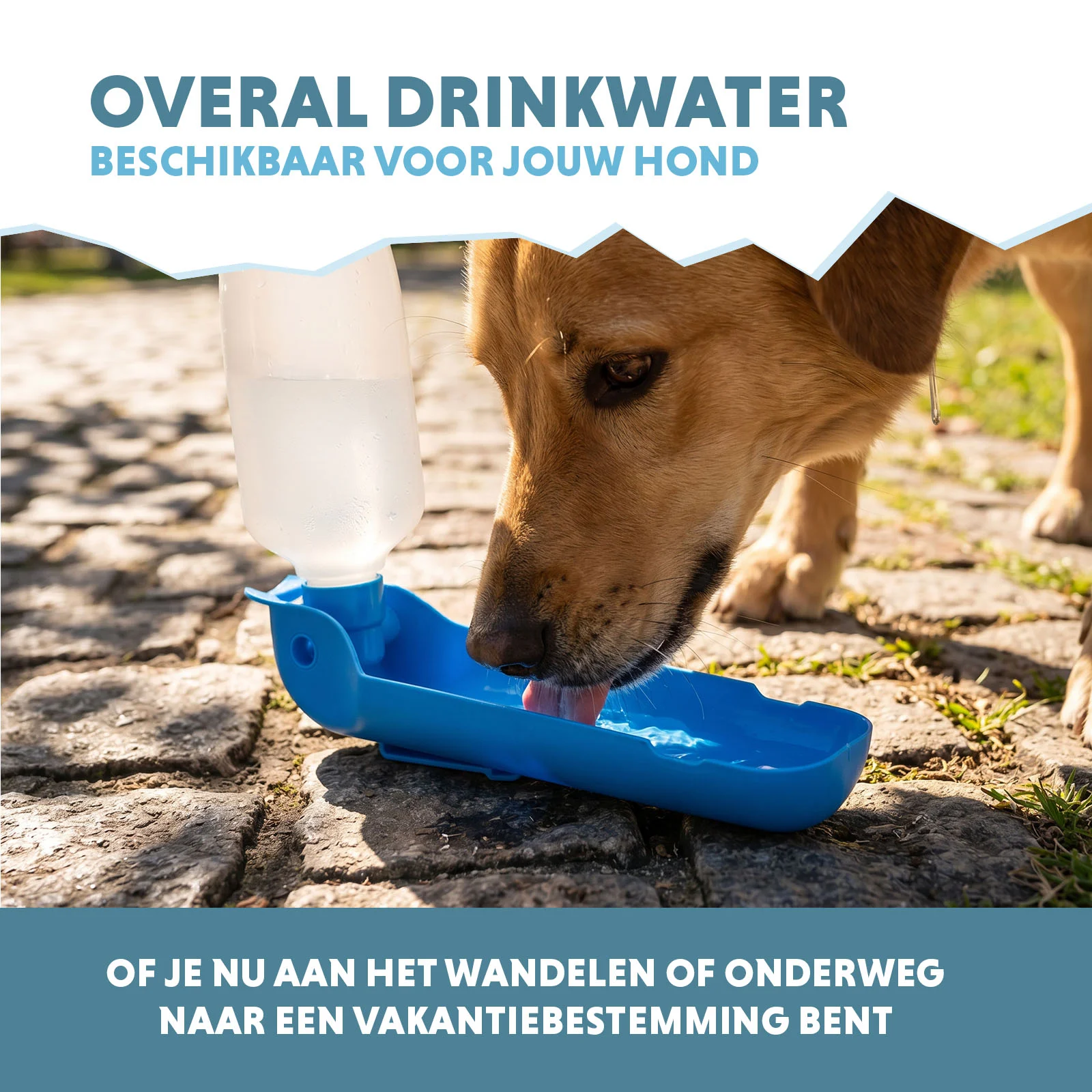Butelka na wodę dla psa na spacer i podróż, 500 ml – Coolpets Fresh 2GO - obrazek 4