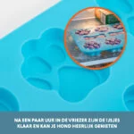 Forma na 8 lodów dla psa – Coolpets Dog Ice Mix Tray - obrazek 4