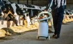 Wózek do pojenia krów z uchwytami na zbiornik i wąż, składany, 100 cm – Excellent Cow Drencher - obrazek 2