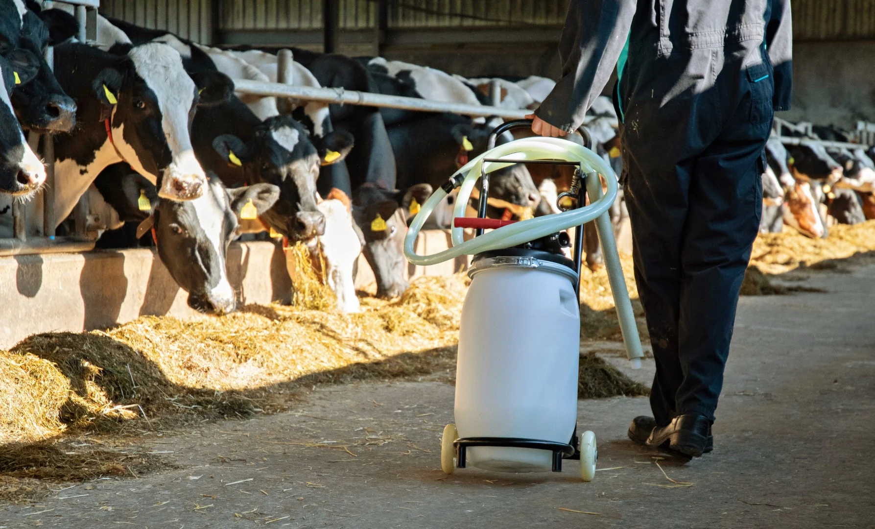 Wózek do pojenia krów z uchwytami na zbiornik i wąż, składany, 100 cm – Excellent Cow Drencher - obrazek 2