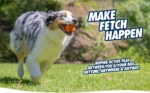 Gumowa piłka dla psa, Ø 6 cm, 2 sztuki – Chuckit! Fetch Ball M - obrazek 3