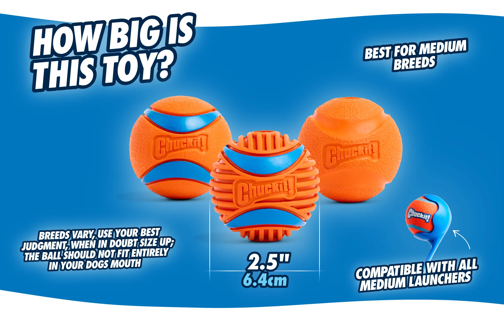 Gumowa piłka dla psa, Ø 6 cm, 2 sztuki – Chuckit! Fetch Ball M - obrazek 4