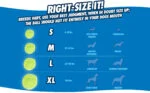 Piłki dla psa ze światłem i dźwiękiem, 3 sztuki, Ø 5 cm – Chuckit! Fetch Medley S - obrazek 3