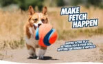Piłka nożna dla psa z gumowymi wgłębieniami, Ø 14 cm – Chuckit! Kick Fetch Dog S - obrazek 6