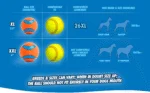 Gumowa piłka dla psa z piszczałką M, ø 6 cm, 1 sztuka – Chuckit! Ultra Squeaker Ball - obrazek 4