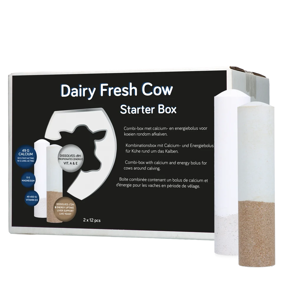 DAIR014.png Zestaw bolusów dla krów mlecznych z wapniem i energią, 2 x 12 sztuk – Hofman Animal Care Dairy Fresh Cow Starter Box - obrazek 1