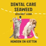 Suplement na zęby dla psów i kotów, 75 g – Excellent Pets Dental Care Seaweed - obrazek 2