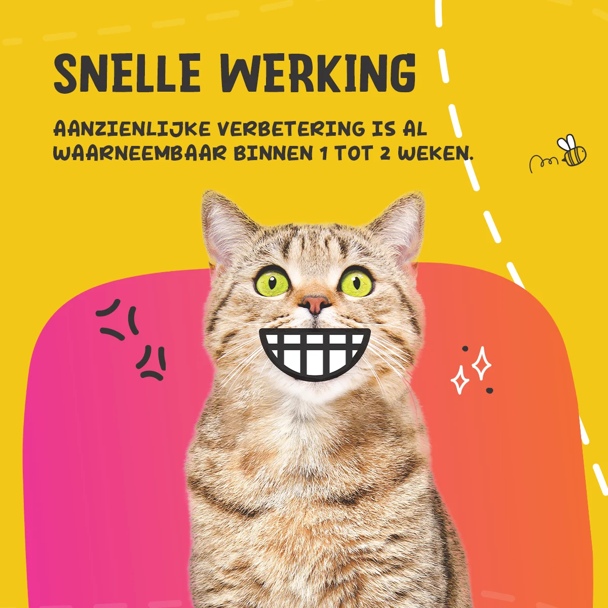 Proszek do pielęgnacji zębów dla psów i kotów, 140 g – Excellent Pets Dental Oral Care - obrazek 5