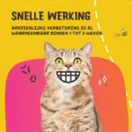 Proszek do higieny jamy ustnej dla psów i kotów, 60 g – Excellent Pets Dental Oral Care - obrazek 5
