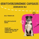 Kapsułki na zęby dla psów, 90 sztuk – Excellent Pets Dental Oral Care Capsules - obrazek 4