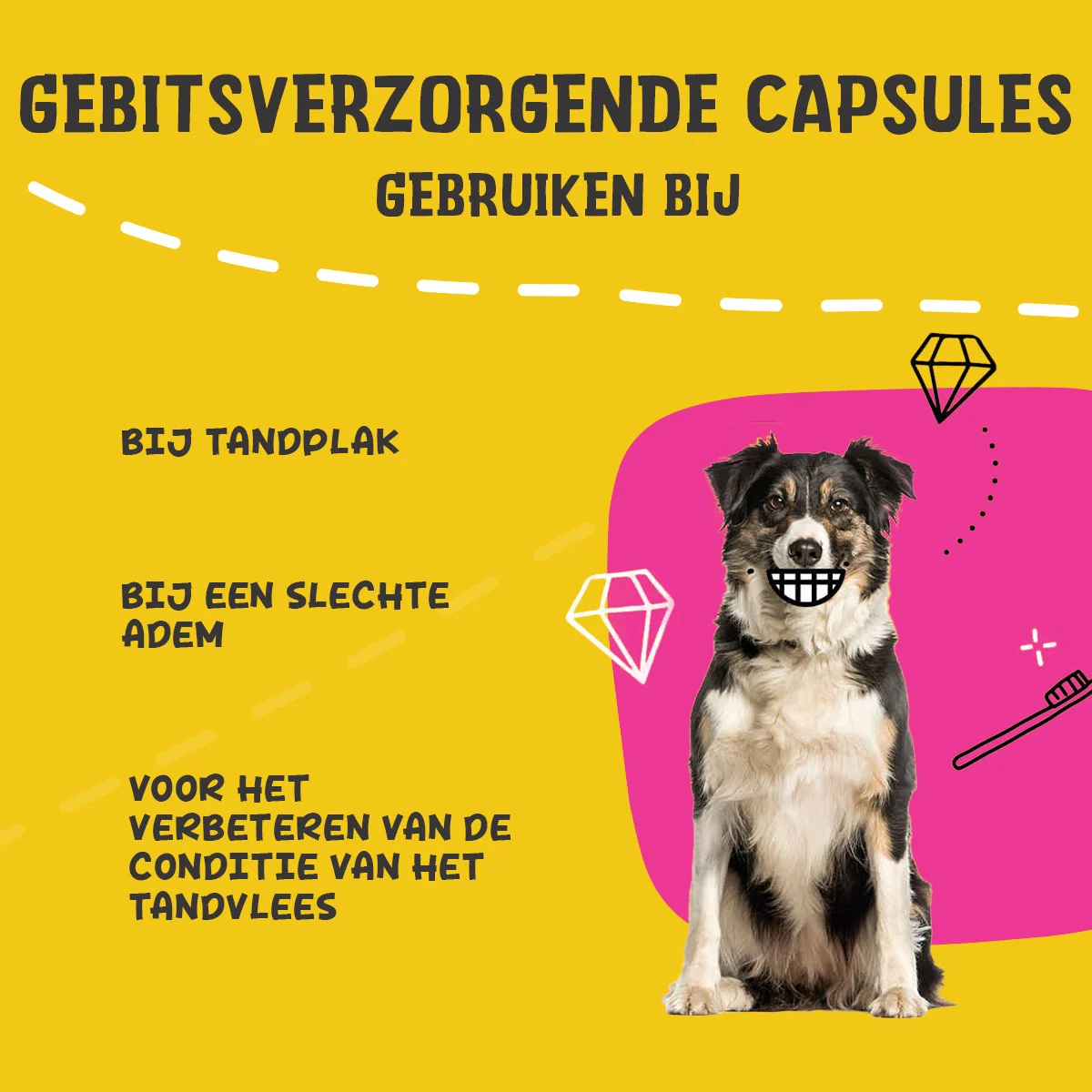 Kapsułki na zęby dla psów, 90 sztuk – Excellent Pets Dental Oral Care Capsules - obrazek 4
