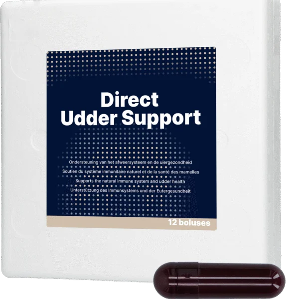 Bolus na wymiona dla bydła mlecznego z czarnym czosnkiem, 12 x 60 g – Direct Bolus Udder Support