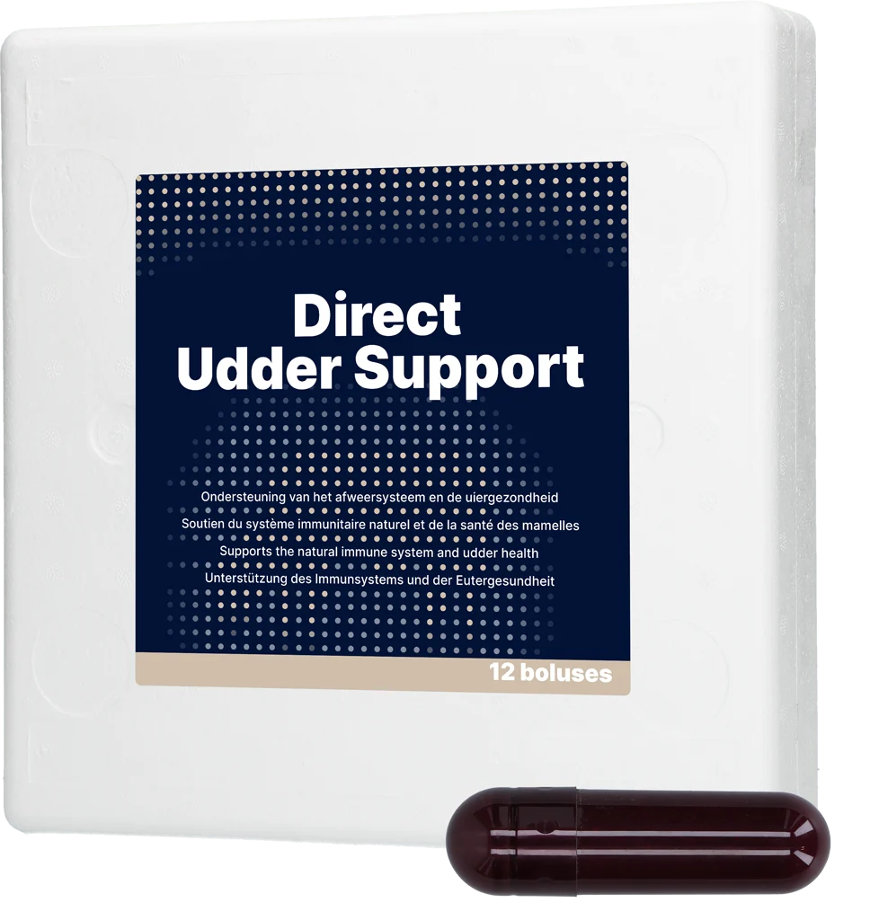 Bolus na wymiona dla bydła mlecznego z czarnym czosnkiem, 12 x 60 g – Direct Bolus Udder Support - obrazek 1