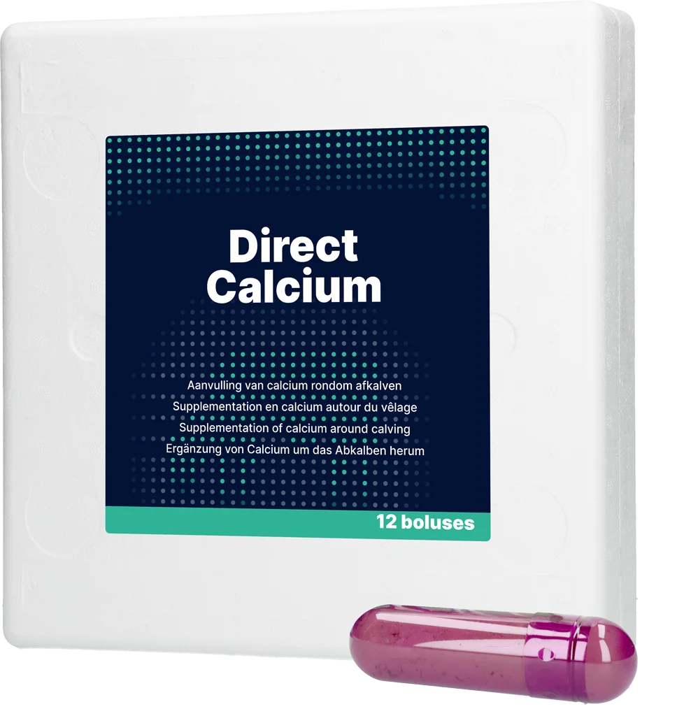 Bolus wapniowy dla krów mlecznych, 12 x 94 g – Direct Bolus Calcium - obrazek 1