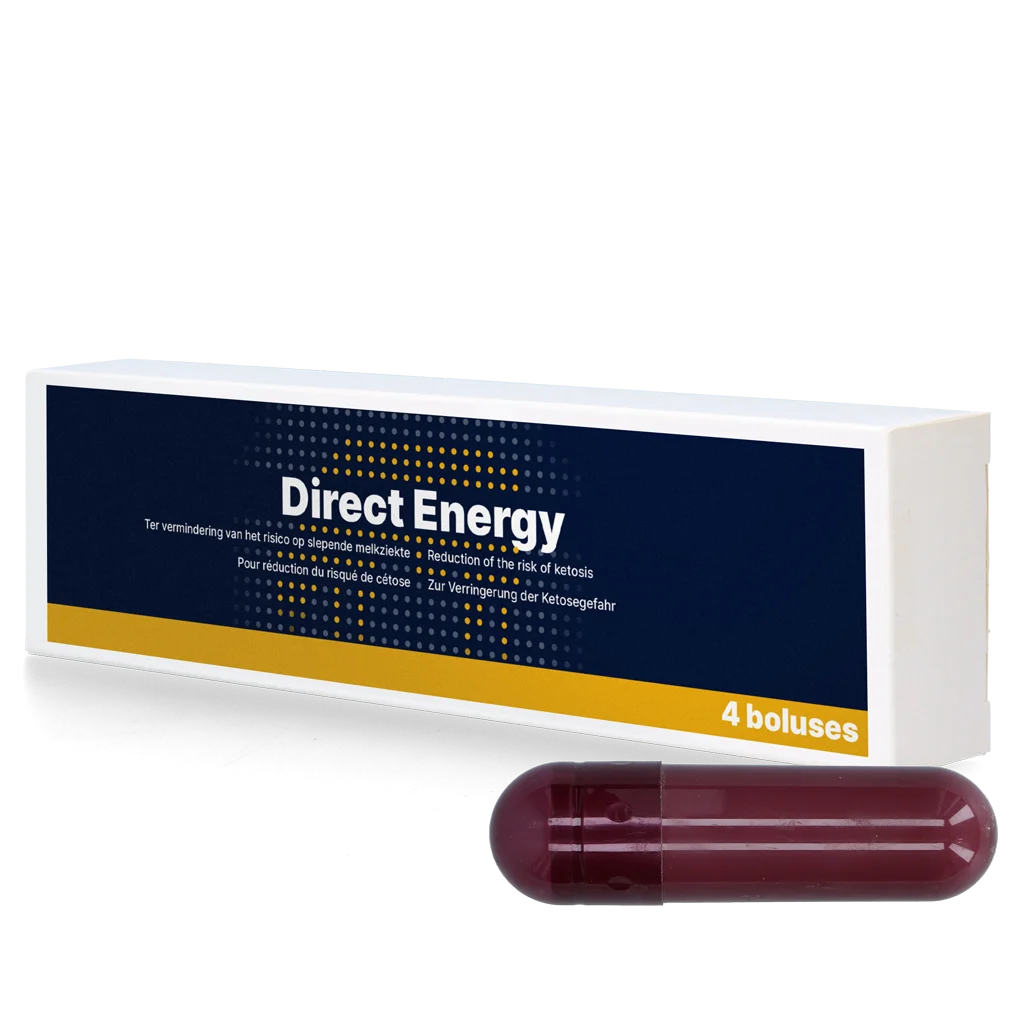 Bolus energetyczny dla krów mlecznych z witaminami i minerałami, 4 x 67 g – Direct Bolus Energy - obrazek 1
