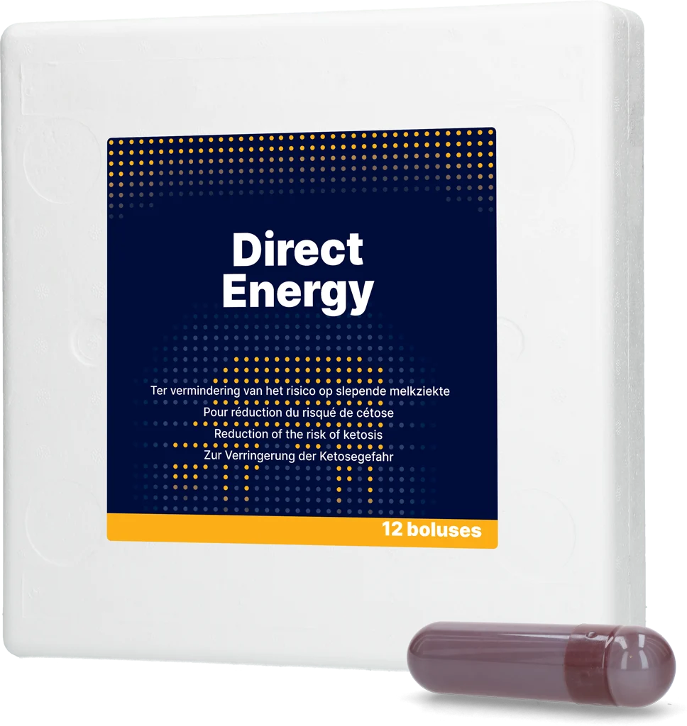 Bolus energetyczny dla krów mlecznych z witaminami i minerałami, 12 x 67 g – Direct Bolus Energy - obrazek 1