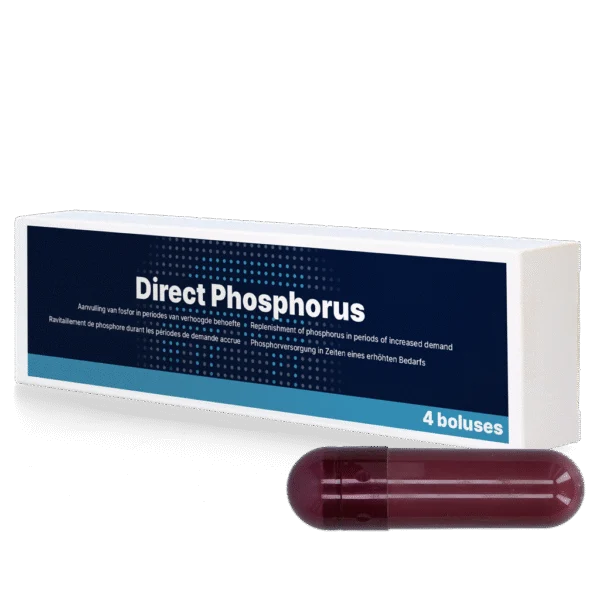Bolus fosforowy dla krów, 4 x 123 g – Direct Bolus Phosphorus