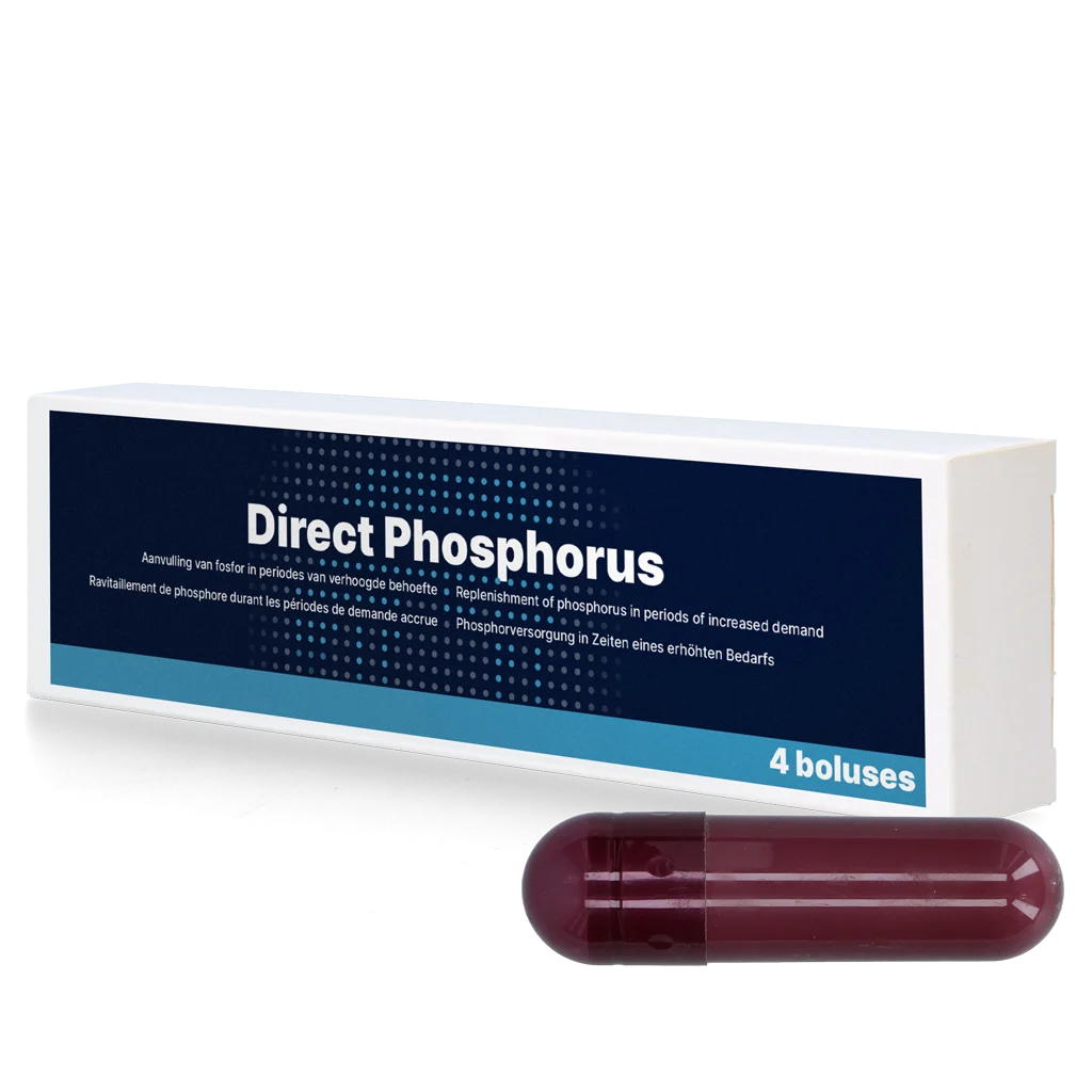 DIRE016.png Bolus fosforowy dla krów, 4 x 123 g – Direct Bolus Phosphorus - obrazek 1