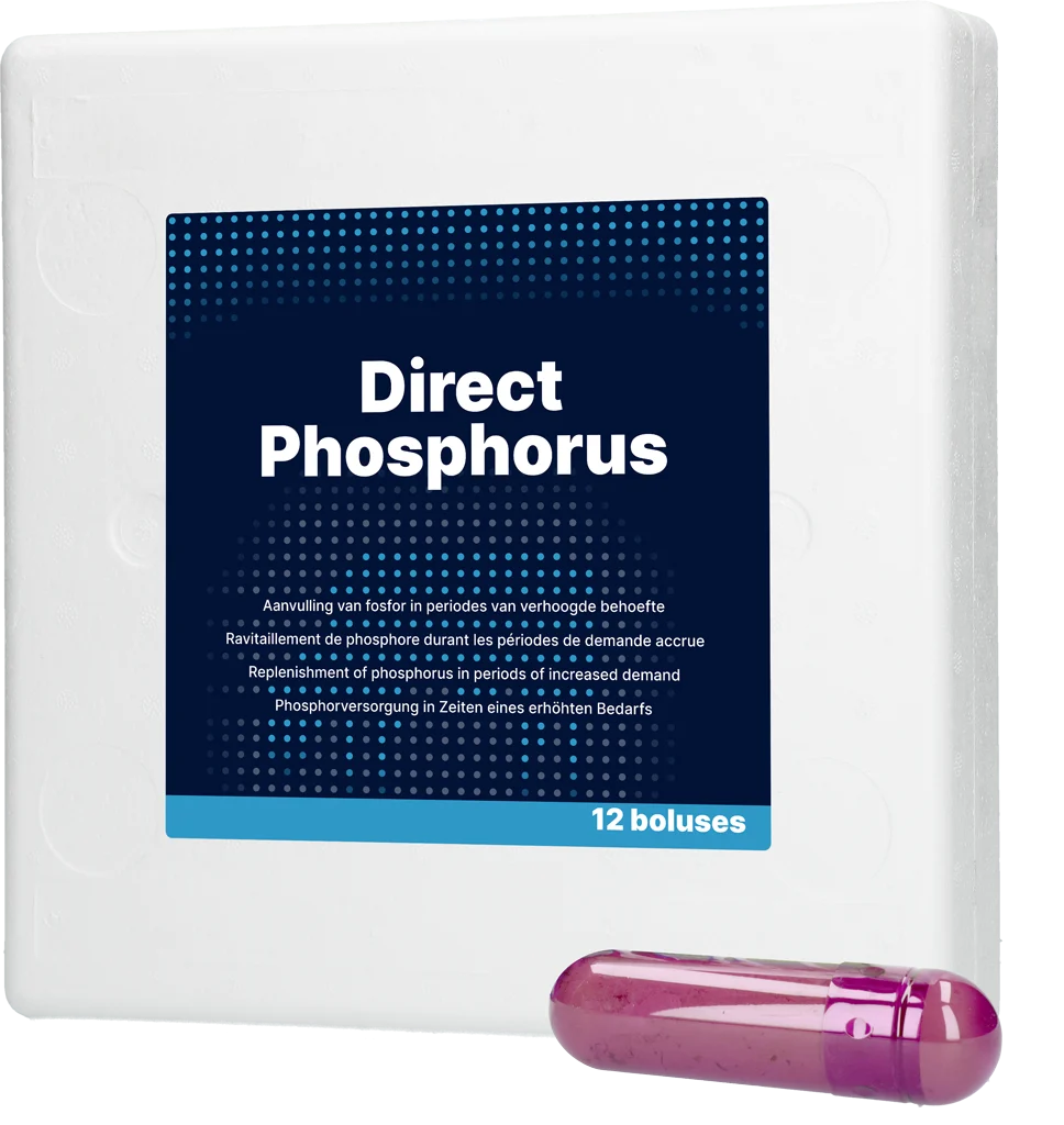 Bolus fosforowy dla krów, 12 x 123 g – Direct Bolus Phosphorus - obrazek 1