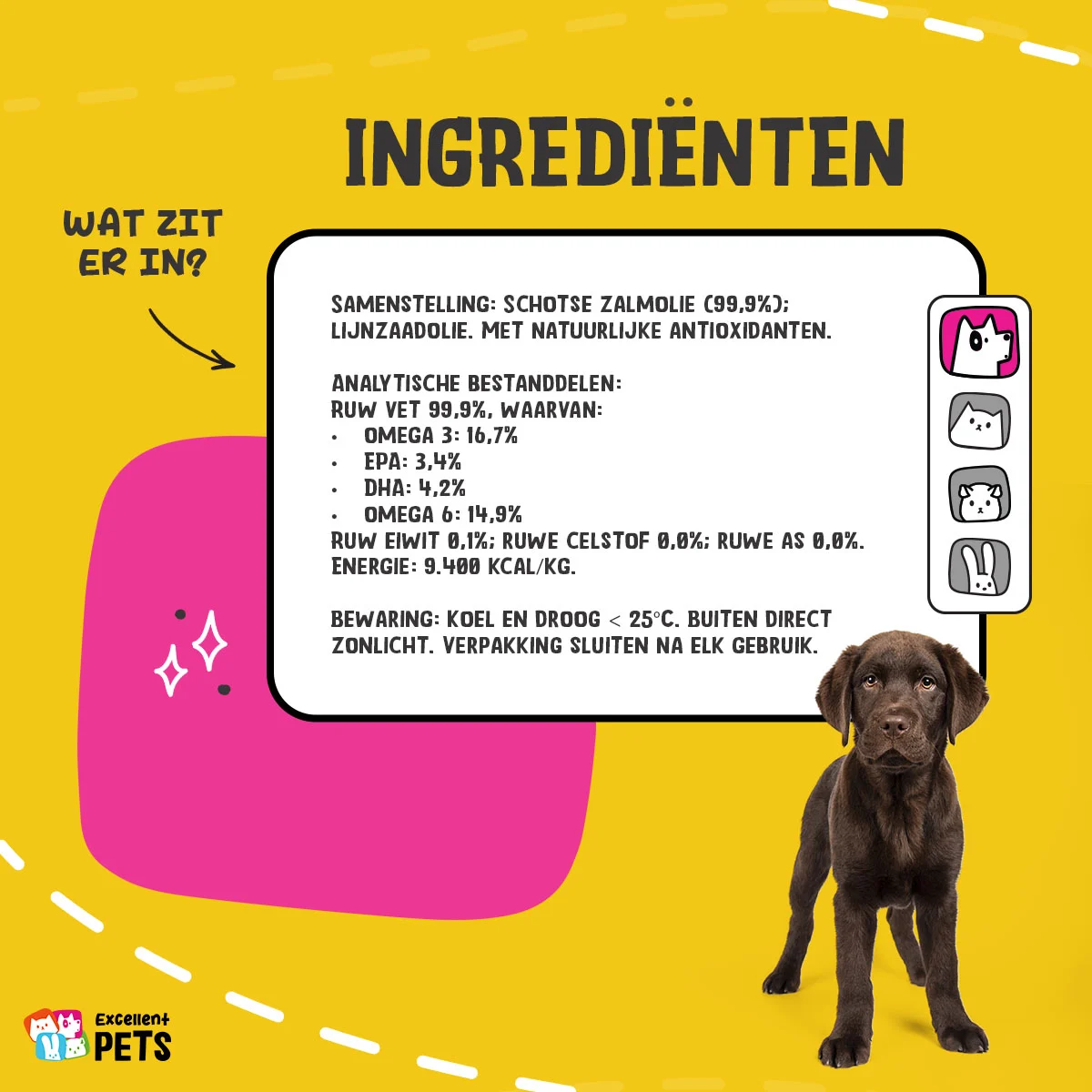 Olej z łososia dla psów z omega 3 i 6, 500 ml – Excellent Pets Dog Salmon Oil - obrazek 4
