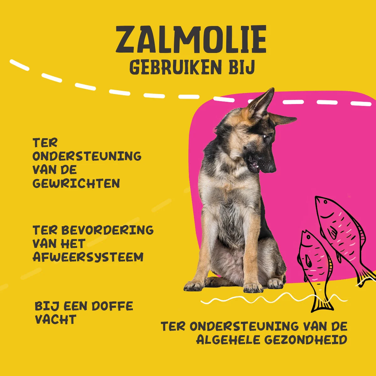 Olej z łososia dla psów z Omega 3 i 6, 1000 ml – Excellent Pets Dog Salmon Oil - obrazek 6