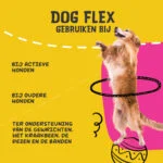 Płynny suplement na stawy dla psów, 500 ml – Excellent Pets Dog Flex - obrazek 6