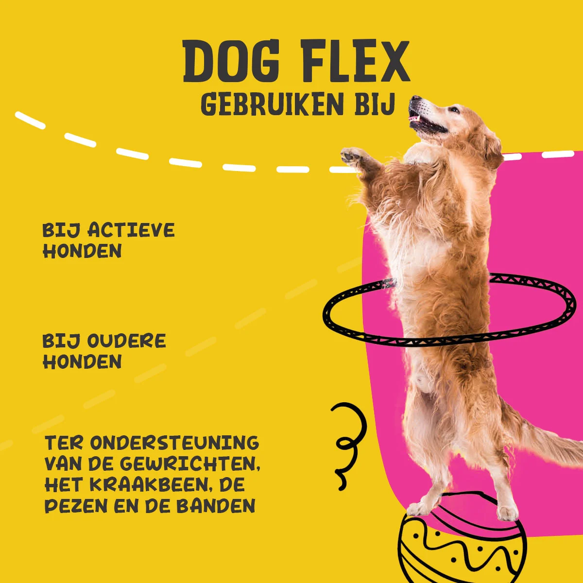 Płynny suplement na stawy dla psów, 500 ml – Excellent Pets Dog Flex - obrazek 6