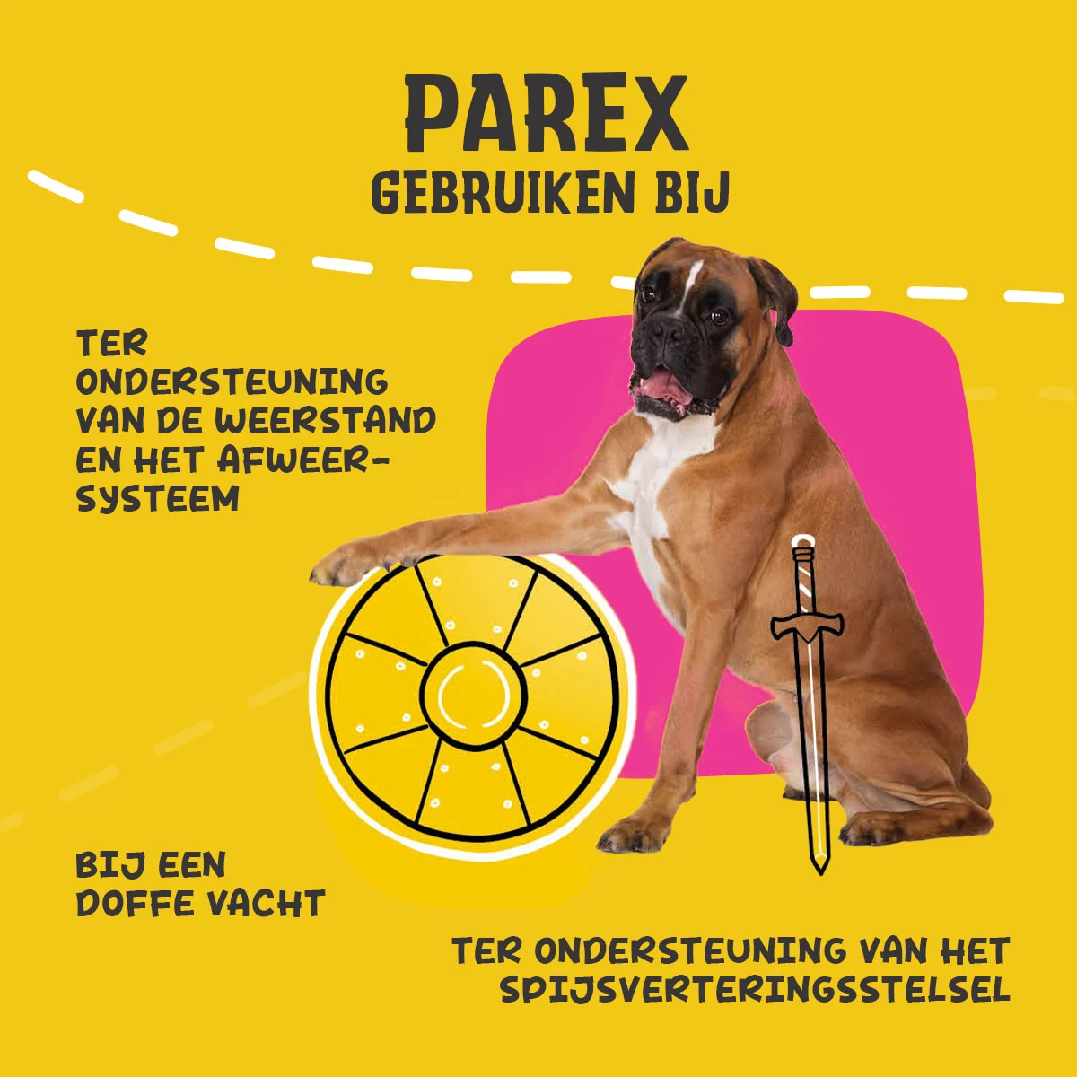 Suplement dla psa z prebiotykami w granulkach, 270 g – Excellent Pets Dog Parex - obrazek 6