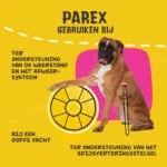 Suplement dla psa z prebiotykami w granulkach, 630 g – Excellent Pets Dog Parex - obrazek 6
